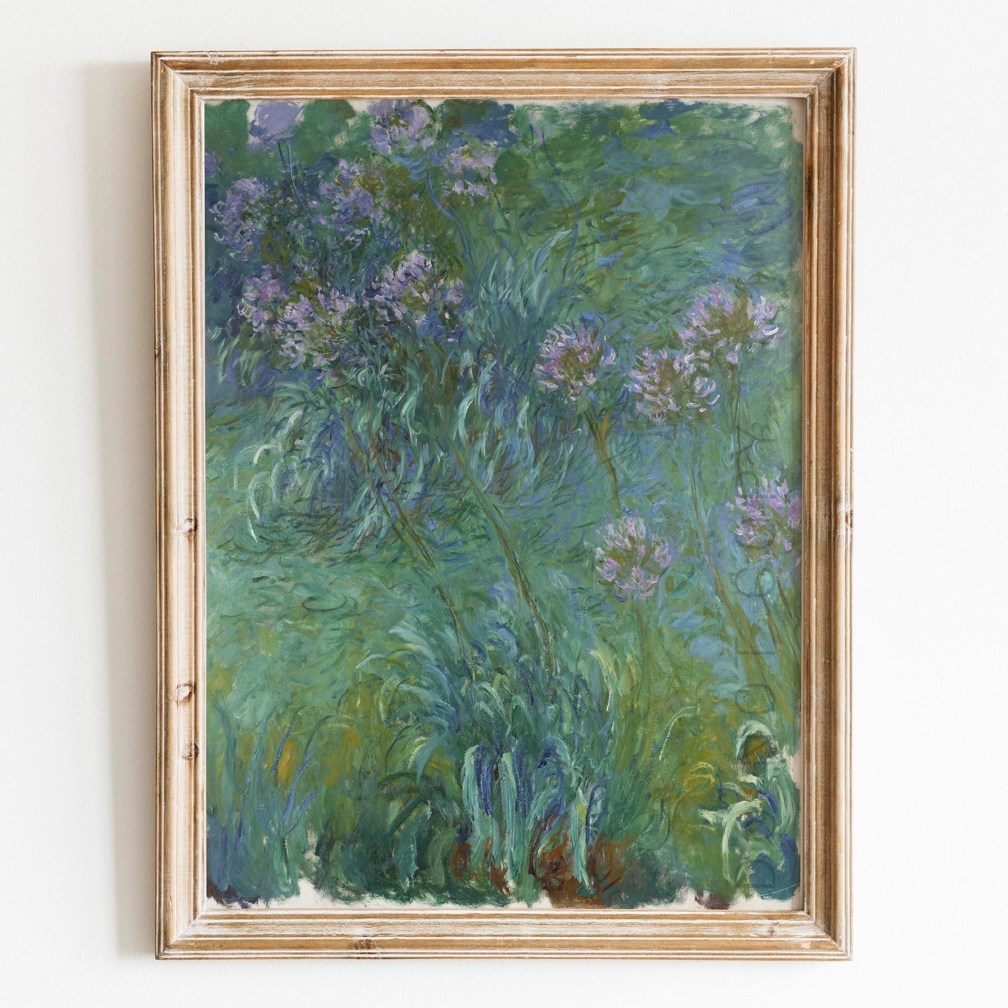 Agapanthus (1914) by Claude Monet