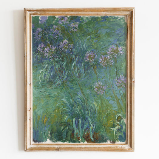 Agapanthus (1914) by Claude Monet