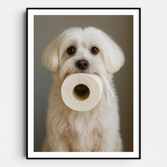 Maltese Dog Toilet Paper