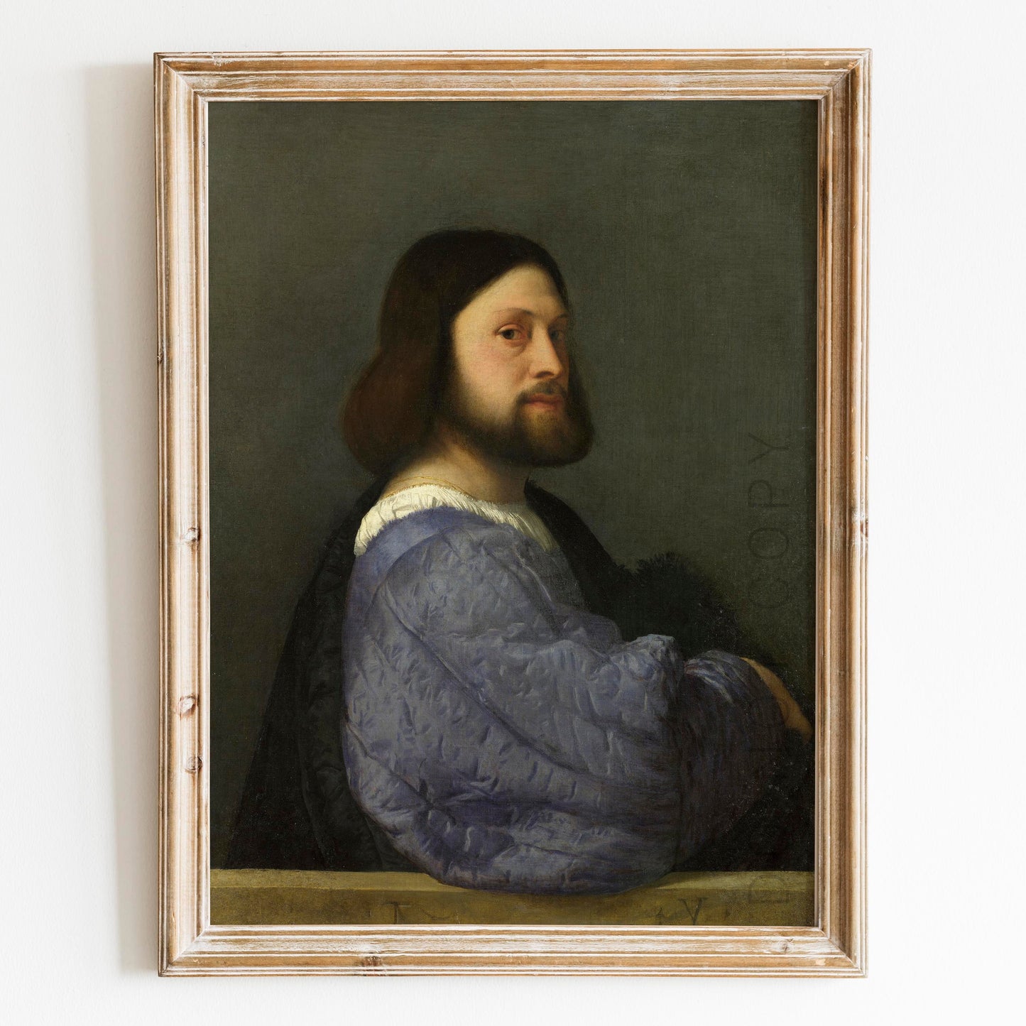 A Man with a Quilted Sleeve (Ariosto) by Titian