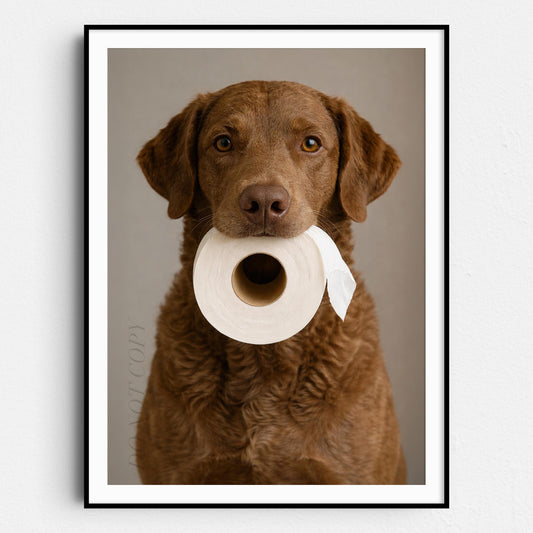Chesapeake Bay Retriever Dog Toilet Paper