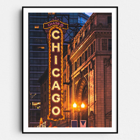 The Chicago Theatre