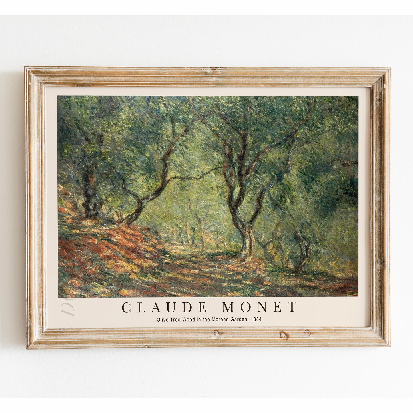 Claude Monet - Olive Tree Wood in the Moreno Garden