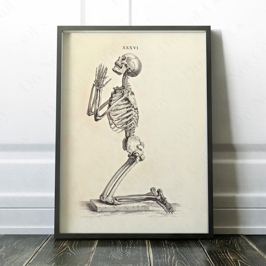 Praying Skeleton (Osteographia, 1733)