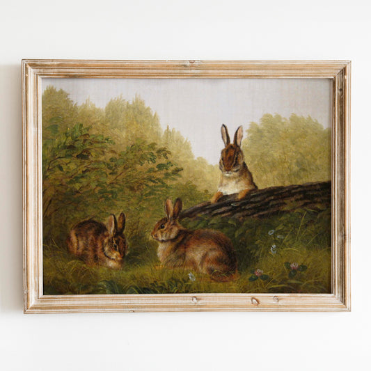 Rabbit Family
