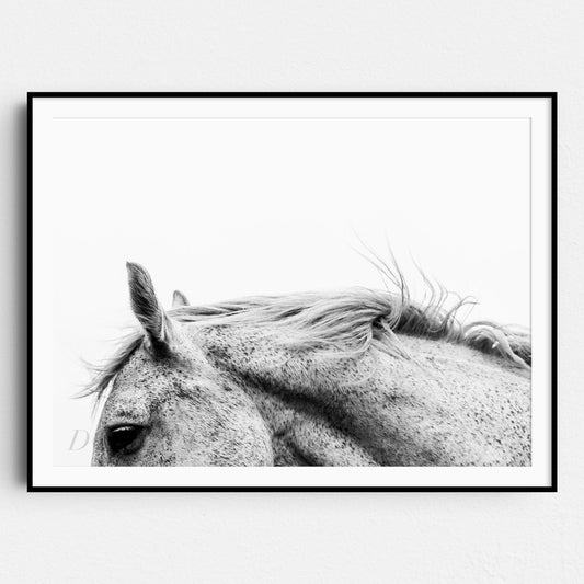 The White Horse