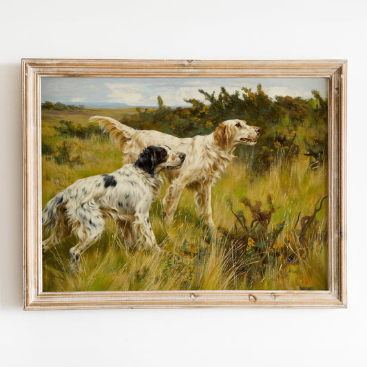 Two English Setters