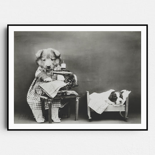Puppy Dog on a Sewing Machine