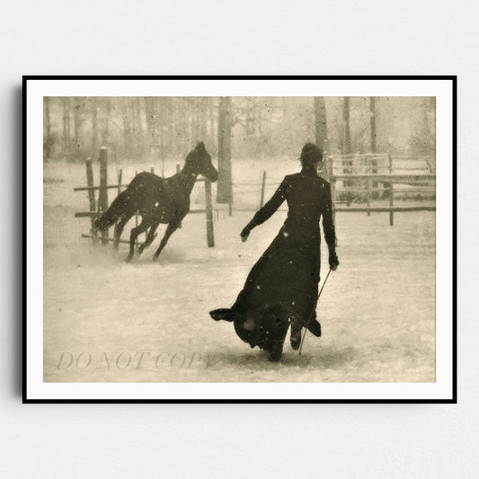 The Horse Trainer