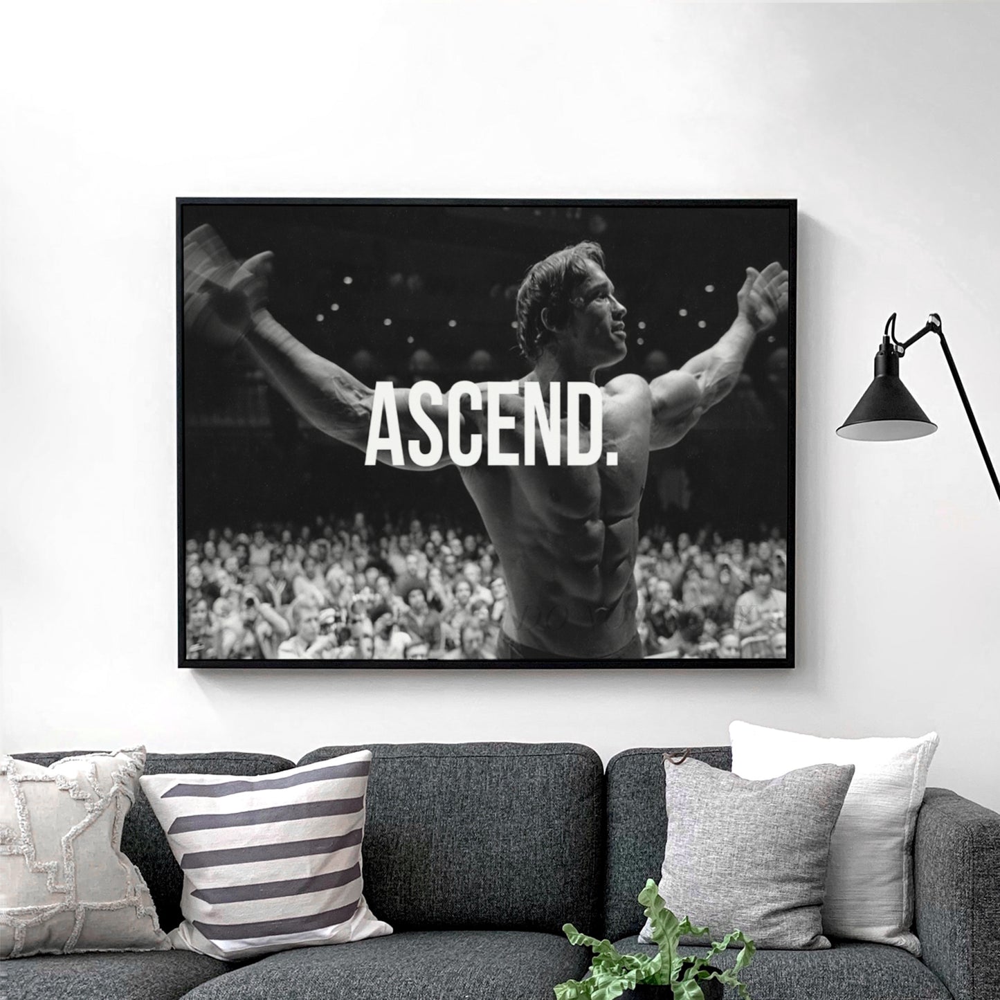 Arnold Schwarzenegger ASCEND