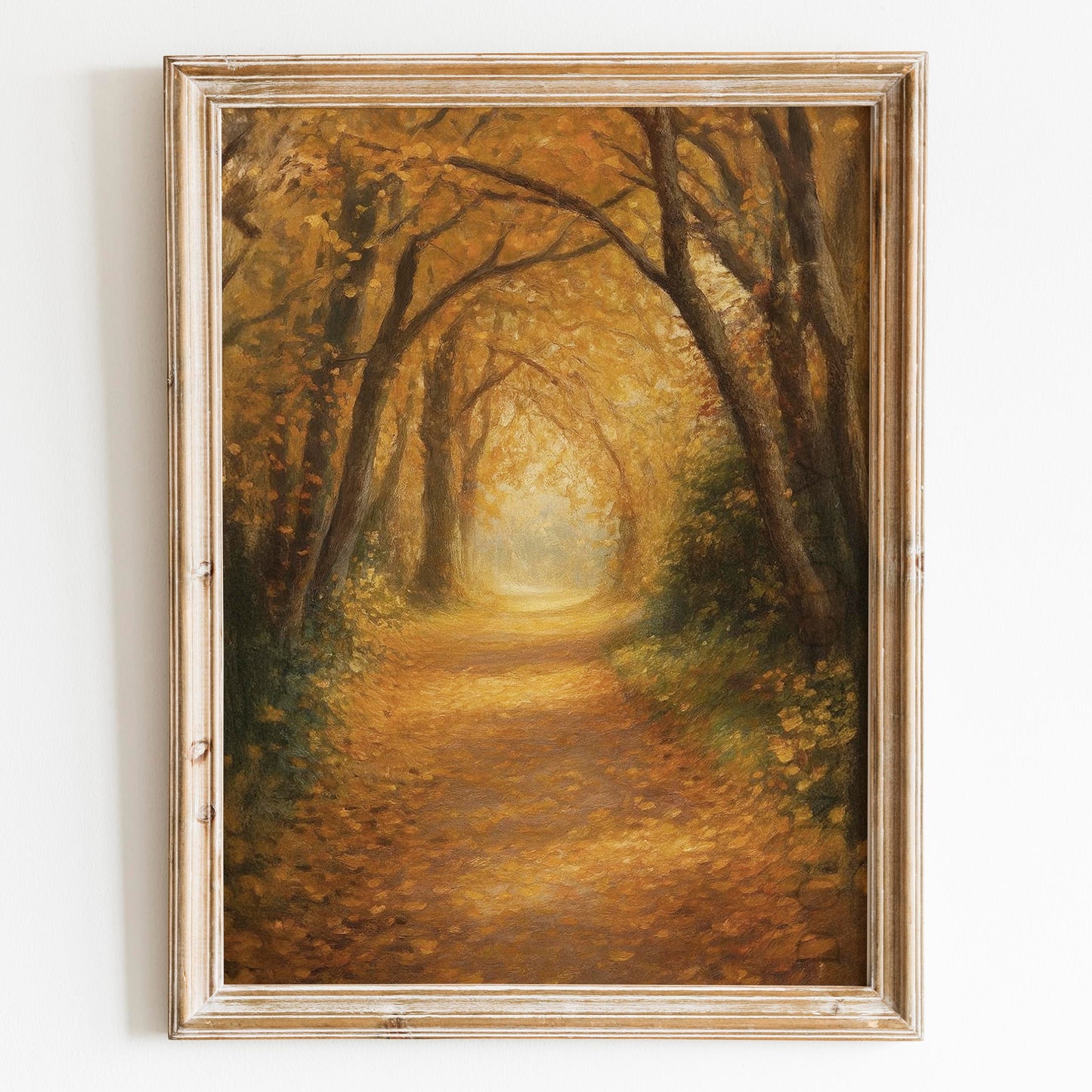 Forest Path In Autumn