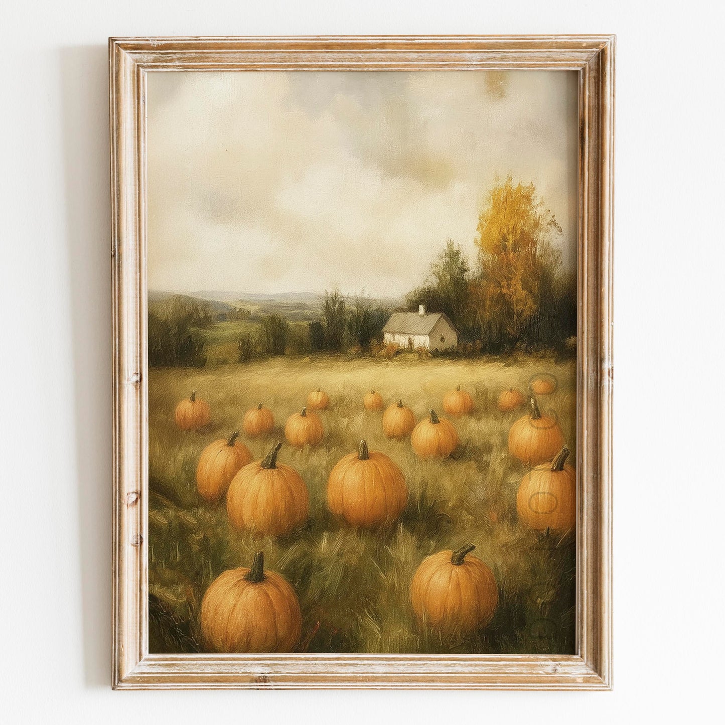 Pumpkin Field Landscape