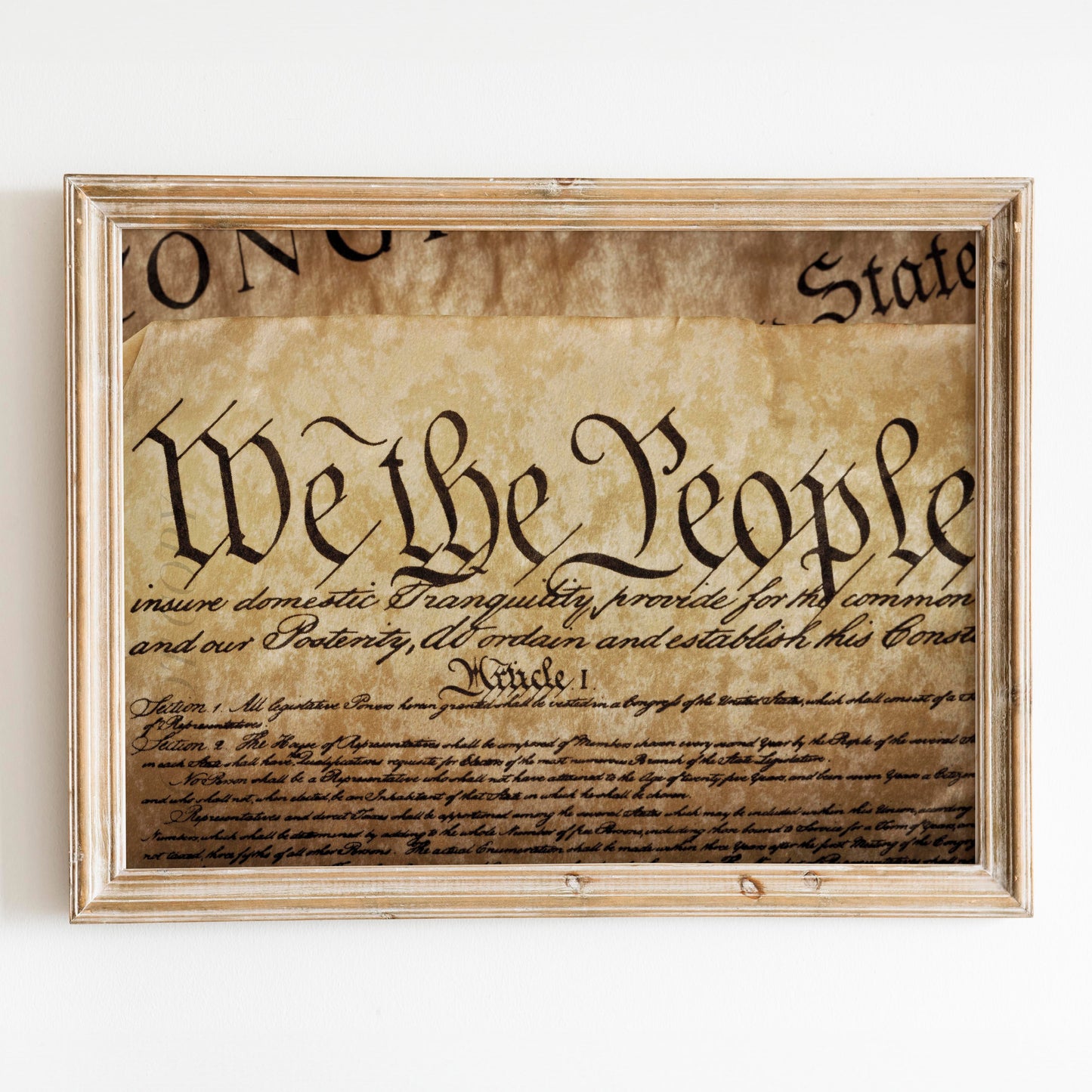 United States Constitution - We the People