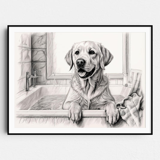 Yellow Labrador Retriever Taking a Bath