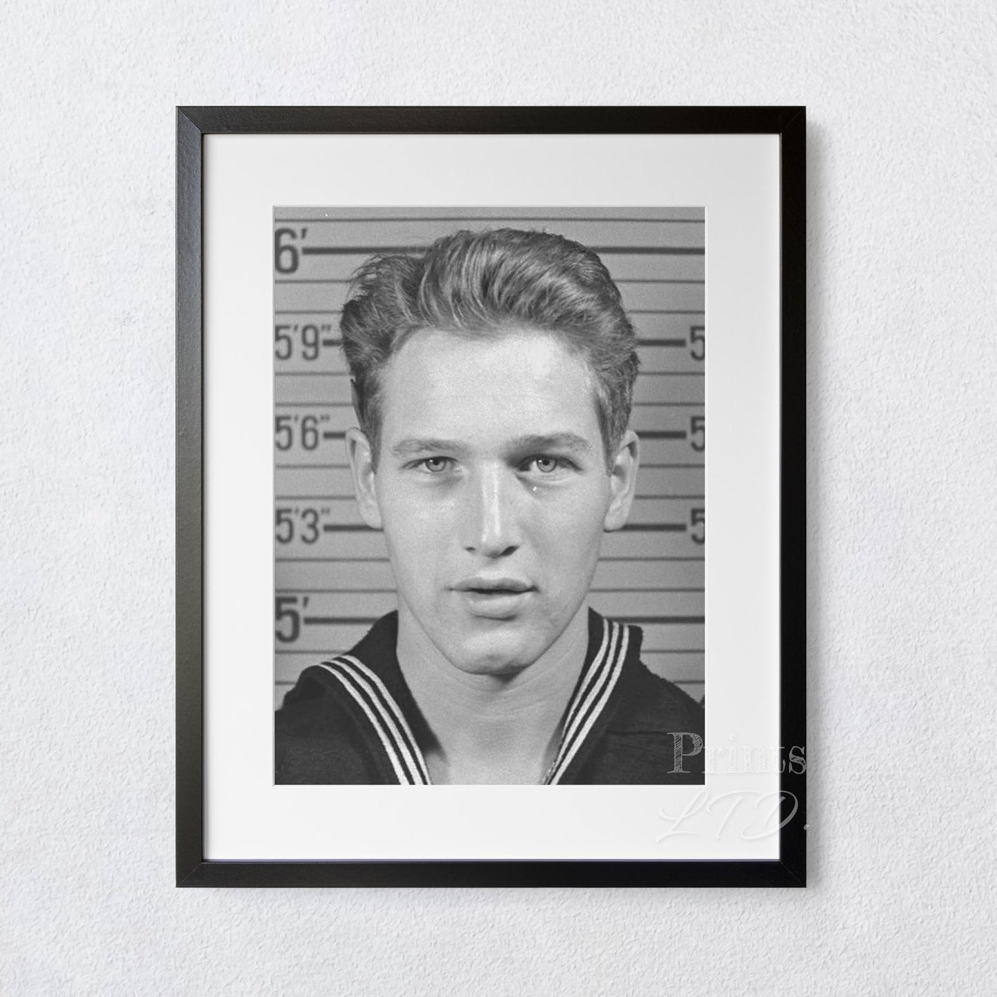 Paul Newman US Navy Mugshot