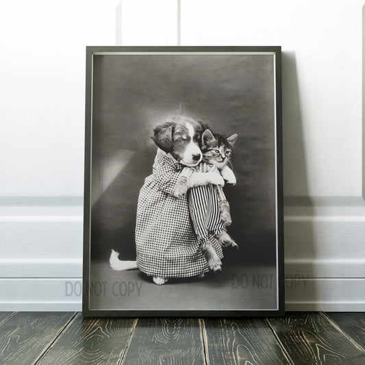 Puppy Holding Kitten Vintage Funny Animals Retro 1900s