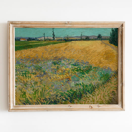 Wheatfield (1888) by Van Gogh