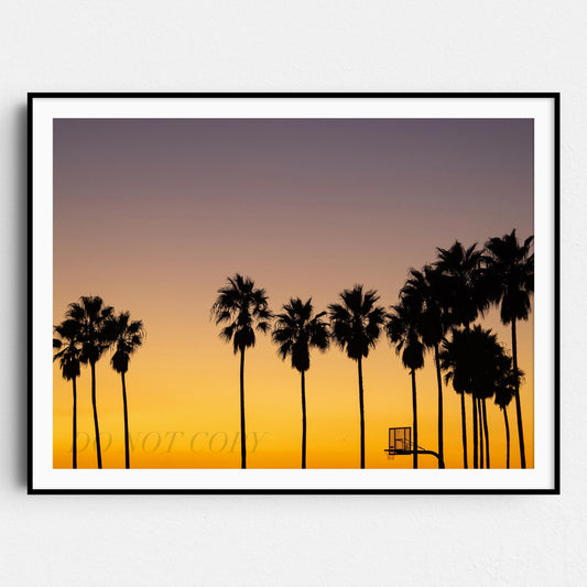 Palm Tree Sunset Basketball