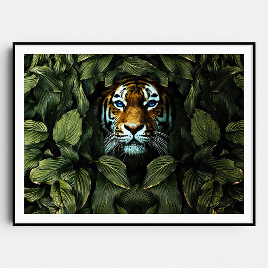 Tiger In The Bushes