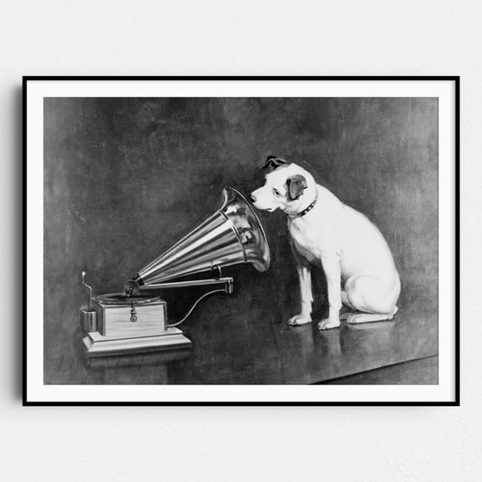 Nipper the Dog Looking at and Listening to a Phonograph 1898 by Francis Berraud
