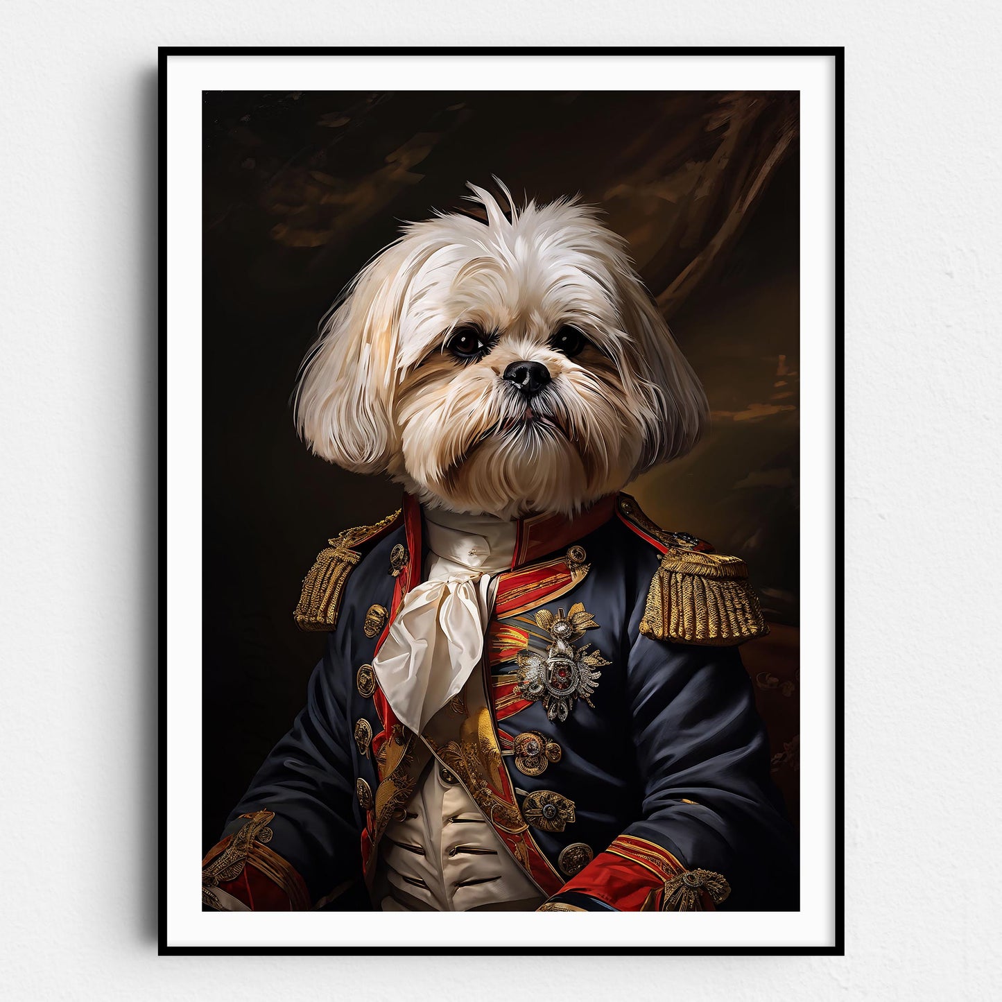 Maltese Shih Tzu Aristocrat