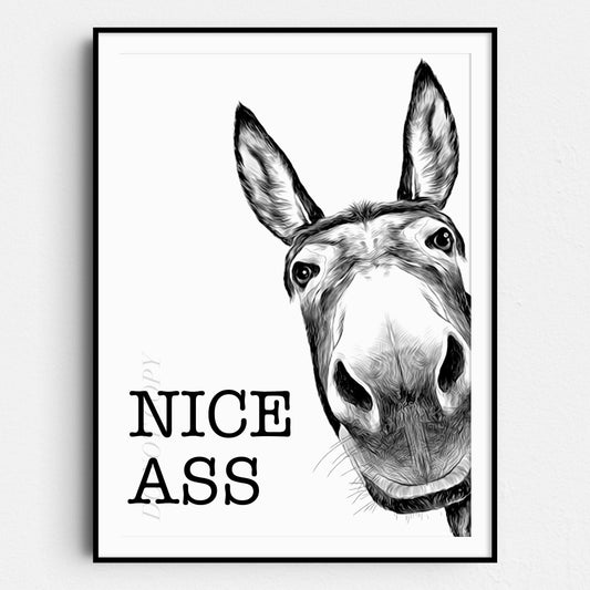Nice Ass Donkey