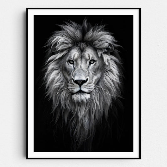 Lion, King Of The Jungle