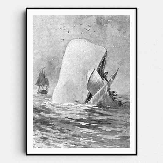 Moby Dick
