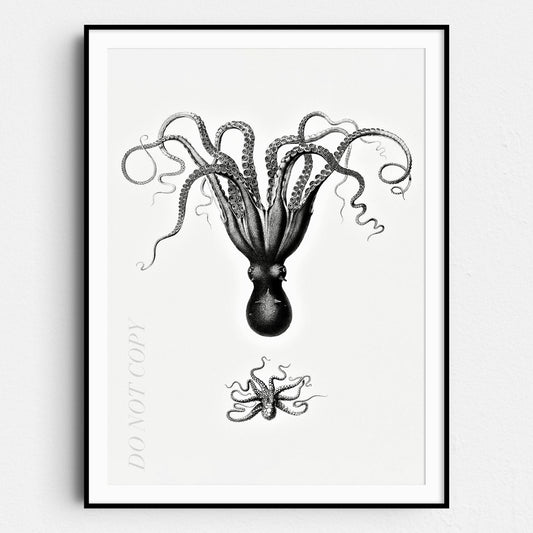 Vintage Octopus Illustration