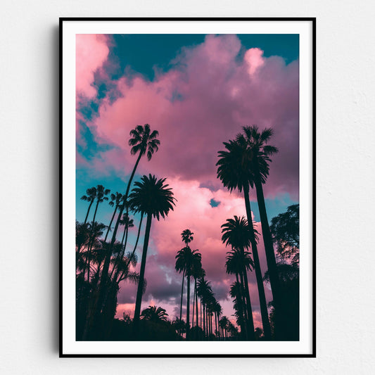 Los Angeles Palm Trees Sunset