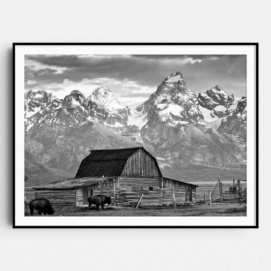 Old Barn In Grand Teton National Park