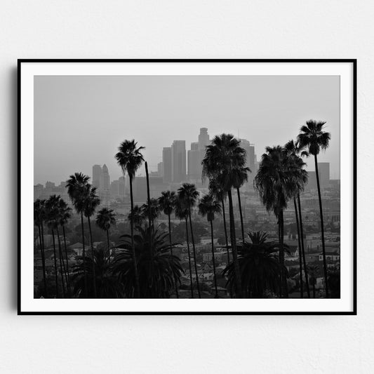 Los Angeles Palm Trees Downtown LA