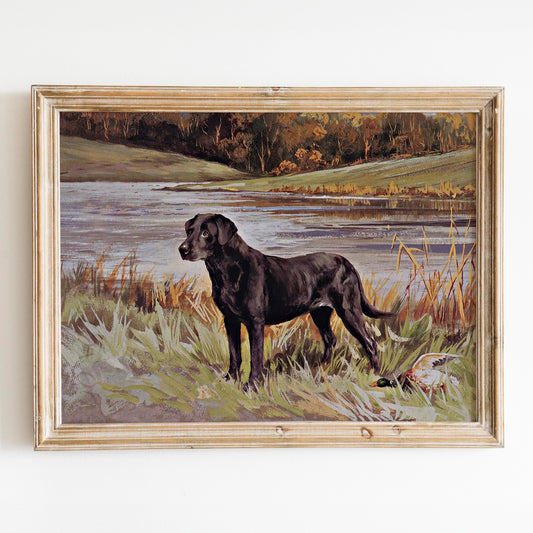 Labrador Retriever With Duck