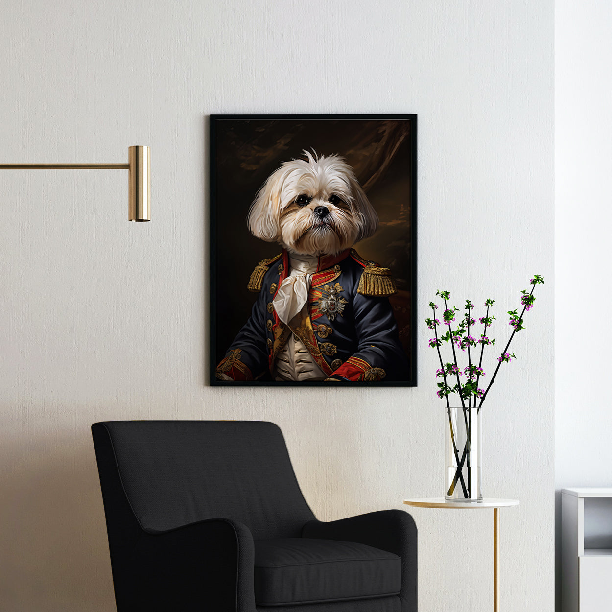 Maltese Shih Tzu Aristocrat