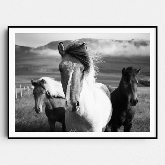 Three Horses