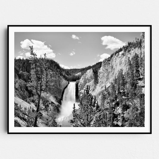 Yellowstone Falls